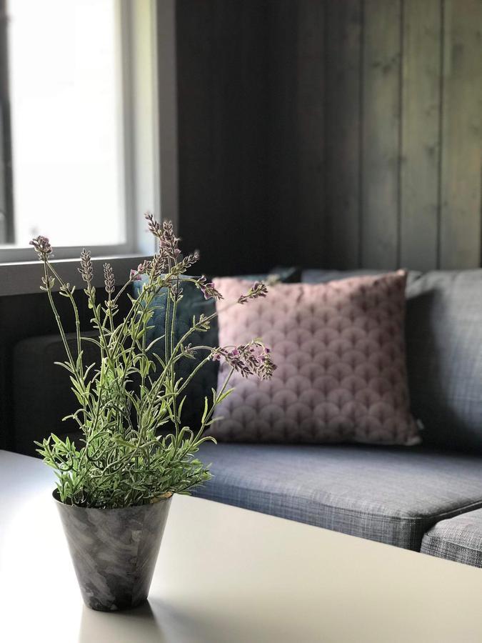 Solbakken Cabins Гайрангер Екстериор снимка